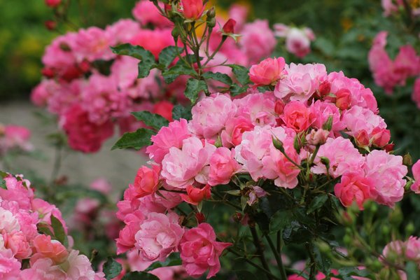 Optimisez votre consommation d'électricité et de gaz simplement !